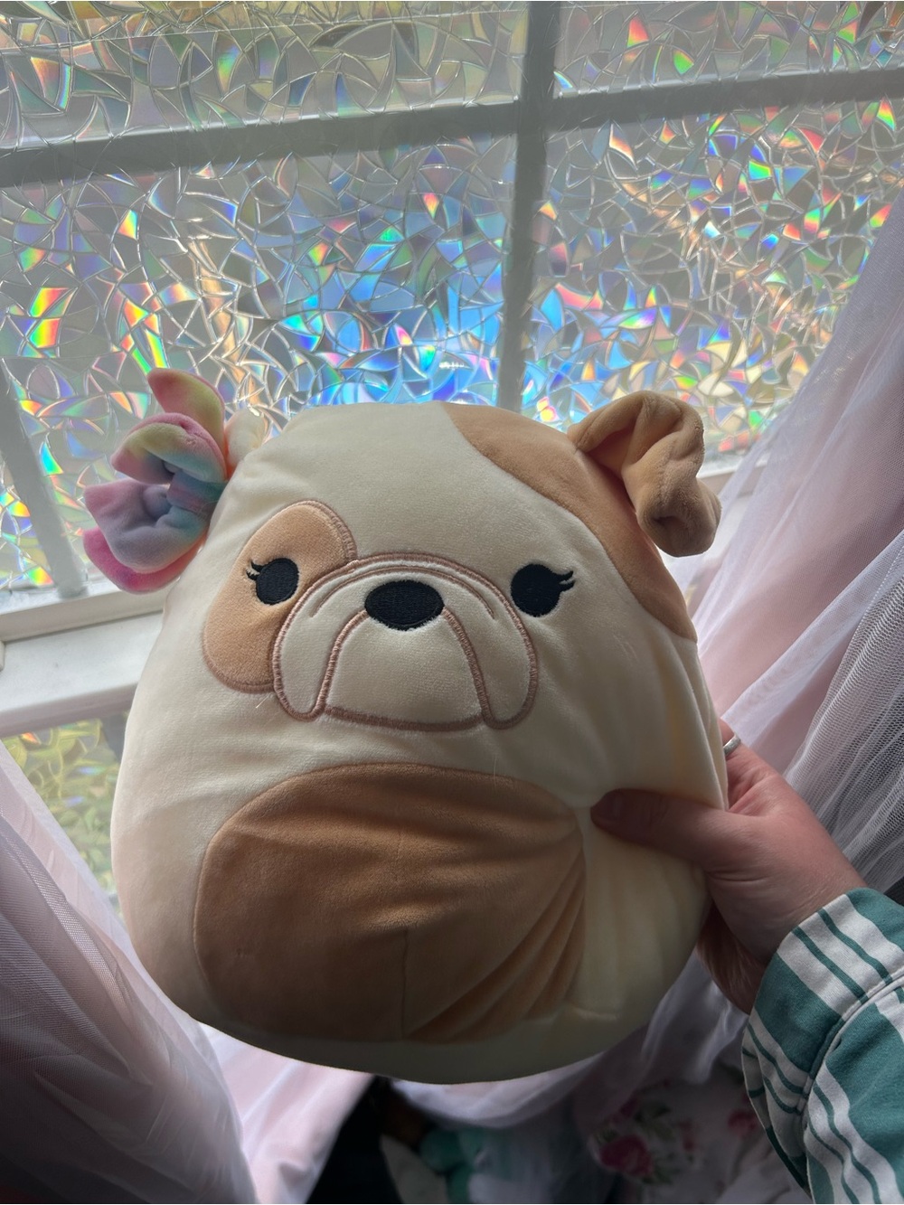 Squishmallow - Plush Bulldog Dog Toy - Cream and Tan